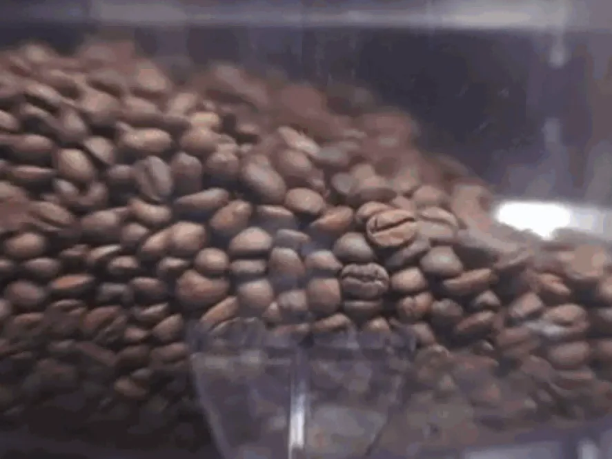 コーヒー自動販売機市場規模