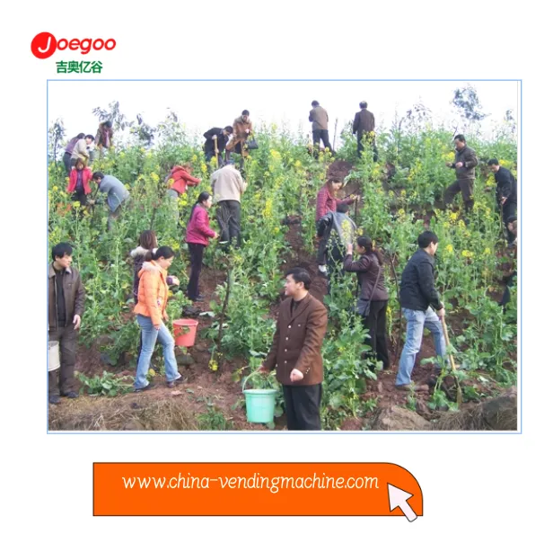 Jeogoo Companyの輸出部門は、植物祭りのための自主的な活動を組織しました